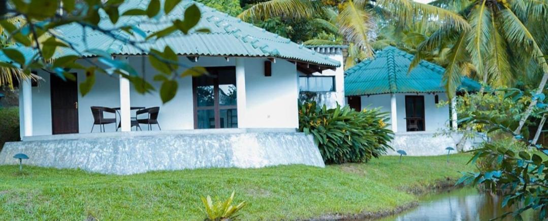 Jungle Heart Cabanas Danwattegoda Экстерьер фото