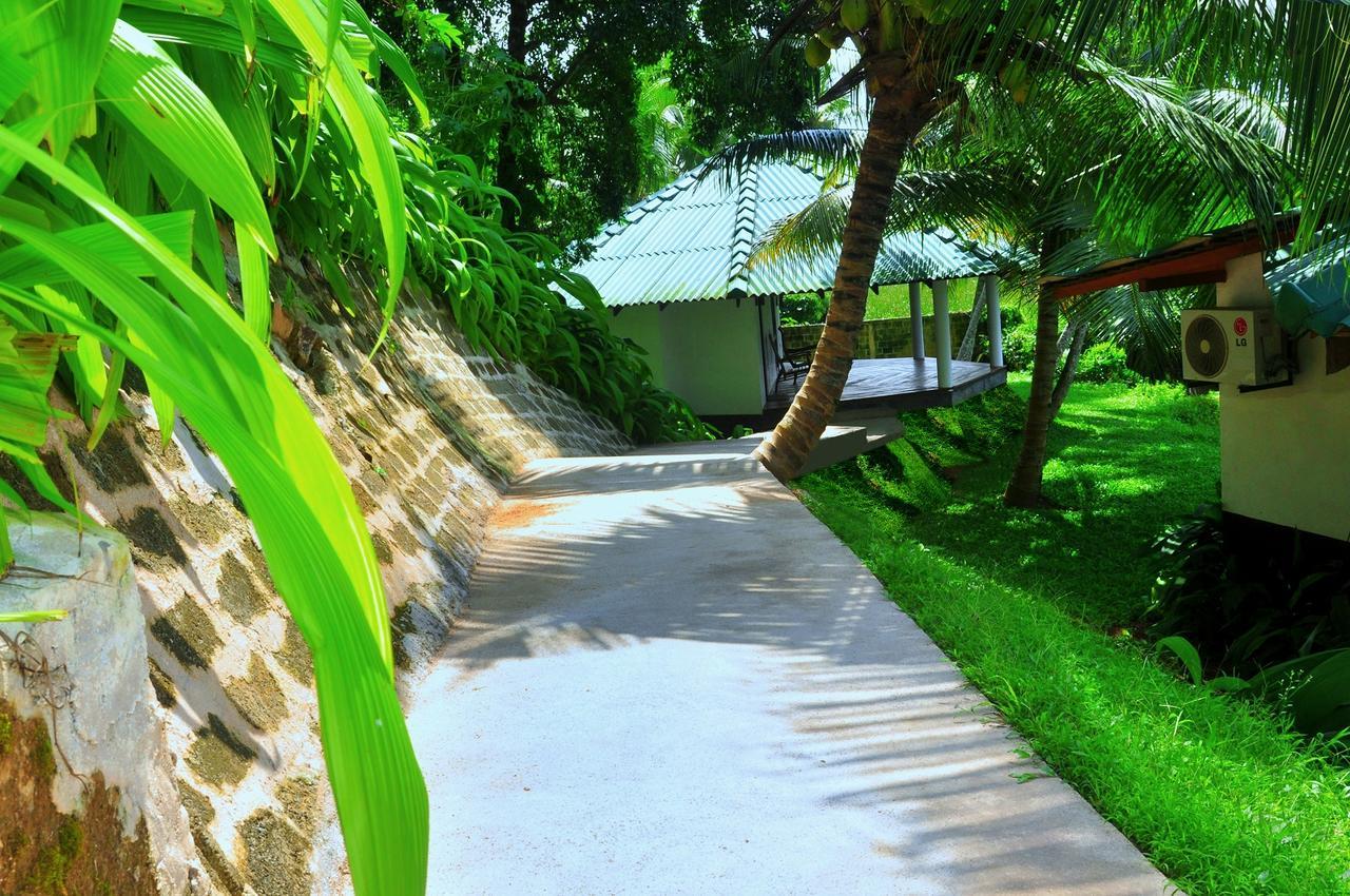 Jungle Heart Cabanas Danwattegoda Экстерьер фото